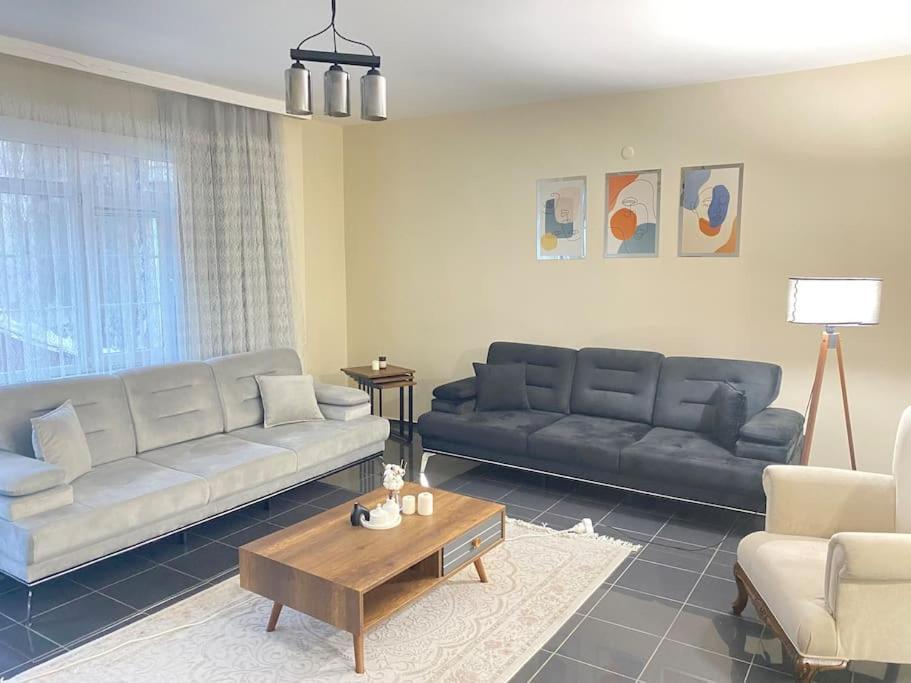 Ferienwohnung Comfy - Spacious Flat On The Kadikoey Seaside Istanbul Exterior foto